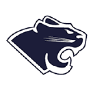 Chicago Academy logo